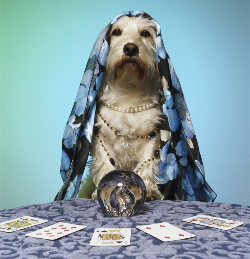 Sorteio de Nomes Online